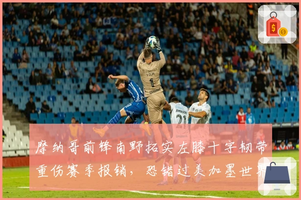 摩纳哥前锋南野拓实左膝十字韧带重伤赛季报销，恐错过美加墨世界杯