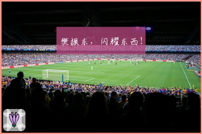 樊振东，闪耀东西！